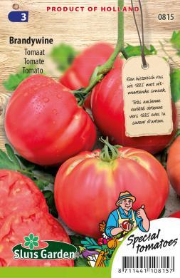 Tomate Brandywine Pink (Solanum) 45 Samen